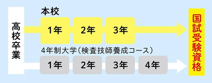 国試受験資格までの流れ